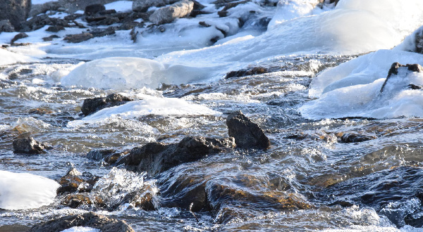 Frozen Pond